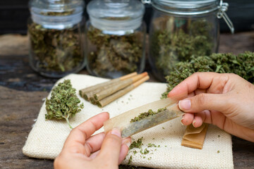 Female hands rolling marijuana with the cannabis bud