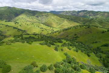Upper Cottonwood Creek Wildlife Area. Beautiful Nature and Landscape. Green area with Cloudy Sky. Close to San Luis Reservoir. California, USA. Drone