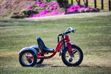 Obraz na płótnie Canvas 公園で乗るかっこいい赤色の三輪車