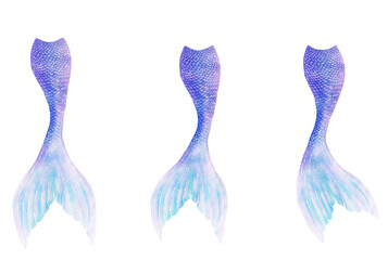 Mermaid Tails - obrazy, fototapety, plakaty