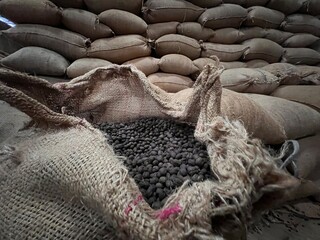 textile bag filled with roasted coffee beans waiting to be sold, Sidama, Ethipoia