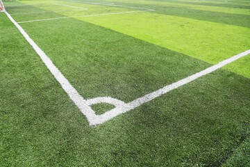 Obraz premium soccer field with lines