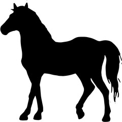 horse silhouette isolated on white