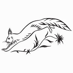 Vector illustration of jumping squirrel. Squirrel forest animal. Calligraphic drawing. Squirrel jumping over a flower hand drawn illustration on white background. Wild rodent ink illustration.