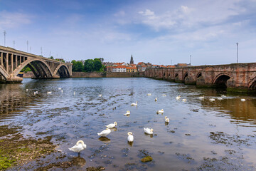 View across the River Tweed from Tweedmouth towards Berwick upon Tweed, featuring the Royal Tweed...