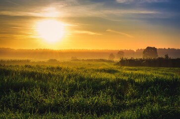 Obraz premium Summer Landscape with field. Green fields and haystacks during the sunset, Poland.
