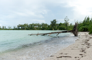 Beach in Peleliu, Palau Island. Micronesia.