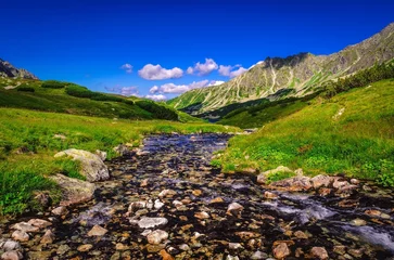 Foto auf Acrylglas Tatra Beautiful summer mountain landscape with a river theme. Picturesque view stretches over stream and rocky summits in the Five Pond Valley in Tatra mountains, Poland.