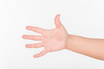 Woman Hand and All Five Fingers. White Background.