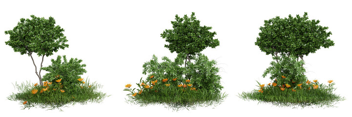 Collection green grass and plant on transparent background 3d rendering png.