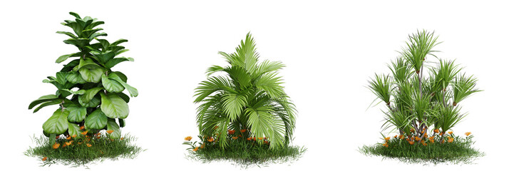 Collection green grass and plant on transparent background 3d rendering png.