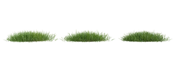 Collection green grass on transparent background 3d rendering png..