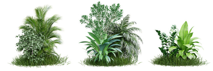 Collection green grass and plant on transparent background 3d rendering png.
