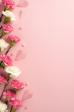 Mother's Day concept. Top vertical view flat lay of delightful carnation flowers, and pink paper hearts on a soft pastel pink background with copyspace