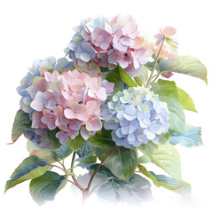 Watercolor illustration of hydrangea flower, isolated on white background. Generative AI