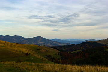 Fototapeta na wymiar Nice landscape with rural meadow in Carpathian mountains, Ukraine