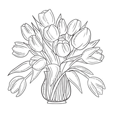 Beautiful bouquet with tulip flowers in glass vase isolated on white background. Hand drawn vector sketch illustration in vintage engraved style. Spring, holiday, happy birthday, gift, romantic.