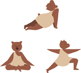 3 Difference bear yoga style