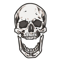 Skull vector for halloween design. Skeleton head or bone brutal skull