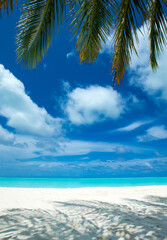 Fototapeta na wymiar tropical Maldives island with white sandy beach and sea. palm