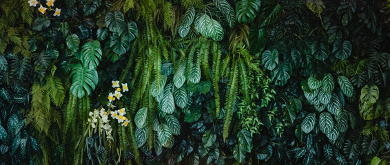 green leaf texture, leaf foliage nature dark green background