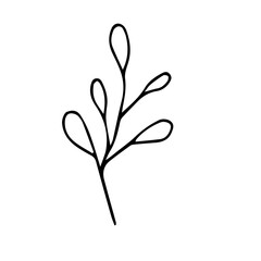 Doodle Branch isolated on white background. Simple black contour Tree Branck with Leaves. Hand Drawn Spring Flower. Vector illustration. Summer symbol.