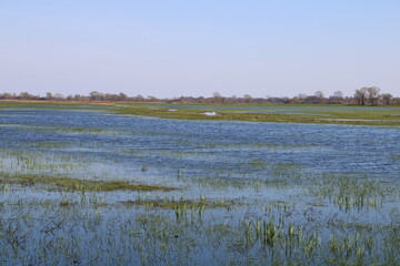 Flooded Marshland in Northwestern Germany, close to the River Hamme | Travelling from Bremen to Stade and Otterndorf on the "Vom Teufelsmoor zum Wattenmeer" Cycling Route