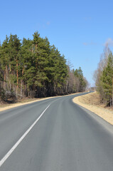 Landscapes of April. Spring. Pine forest. Road