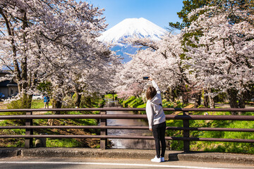 Fototapeta na wymiar 忍野村から富士山と桜