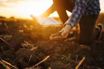 Farm owner checks the quality of the soil with his hands with a tablet and checks the fertility before sowing. Horticulture and agriculture concept. - obrazy, fototapety, plakaty