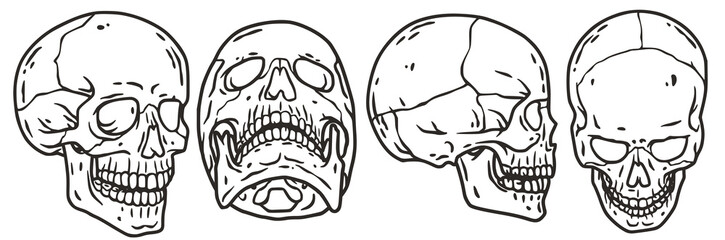Skull vector set for halloween design. Skeleton head collection or bone brutal skull
