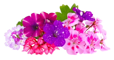 Fotobehang Composition de fleurs d'été  © hcast