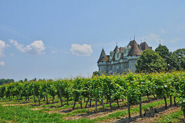 Fototapeta na wymiar Perigord, the picturesque castle of Monbazillac in Dordogne