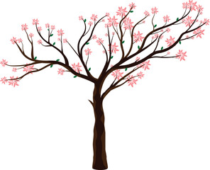 Vector illustration of a tree with leaves on a white background