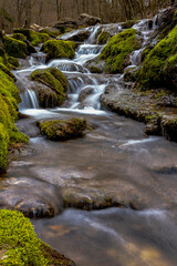 waterfall in the forest