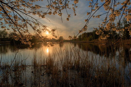sunset on the river
