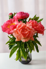 Bouquet of fresh blooming peonies in a glass vase in the room on the table