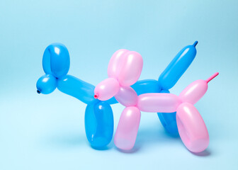 Two balloon dogs on a blue background