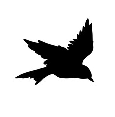 Vector isolated one single flying bird side view colorless black and white outline silhouette shadow shape