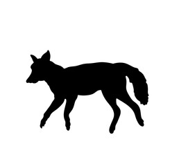 Vector isolated one single dead lying on side dog fox wolf jackal colorless black and white outline silhouette shadow shape