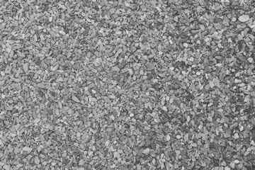 Floor concrete texture and background. White cement wall room.