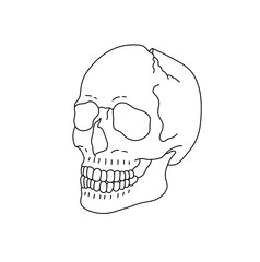 Vector isolated one single simplest smiling cracked skull with a crack dead head isometric side view colorless black and white contour line easy drawing	