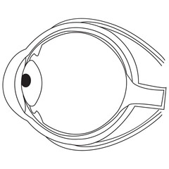 eyeball icon