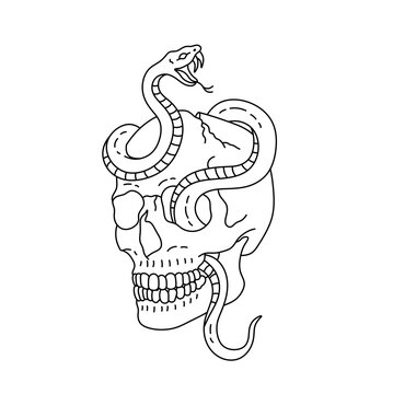 Vector isolated one single human skull with snake upside colorless black and white contour line easy drawing