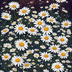 daisies in the grass. Chamomile flowers wallpaper, repeating pattern.  Ai generated