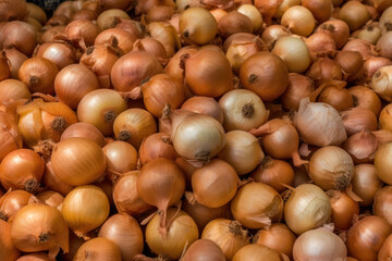 Obraz premium Onion, a lot of onions, market, generative ai, Fresh tasty vegetables, Fresh ingredients, cooking ingredients