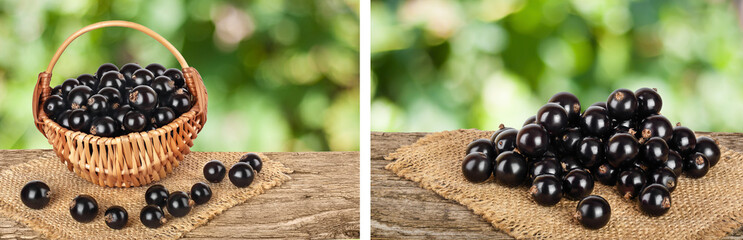black currant in wicker basket on the wooden table with sackcloth and blurred green background 