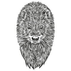 Vintage engrave isolated beaver illustration cut ink sketch beavers