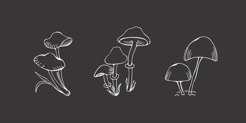 Set of  family poisonous mushrooms; toadstools.  Doodle. Vector illustration isolated on dark background. Different types in the style of line art.