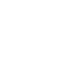 Digital image of athlete